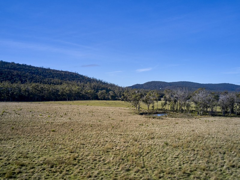 Lot 1/233 Ferndale Road, Bicheno TAS 7215