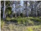 Lot 1/233 Ferndale Road, Bicheno TAS 7215