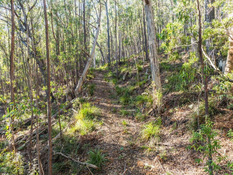 301 Gardiners Creek Road, St Marys TAS 7215