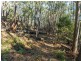 301 Gardiners Creek Road, St Marys TAS 7215