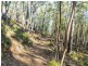 301 Gardiners Creek Road, St Marys TAS 7215