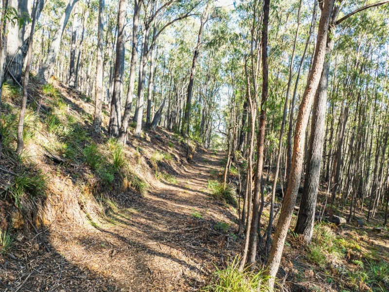 301 Gardiners Creek Road, St Marys TAS 7215