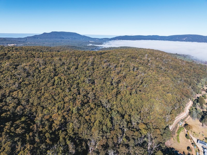 301 Gardiners Creek Road, St Marys TAS 7215