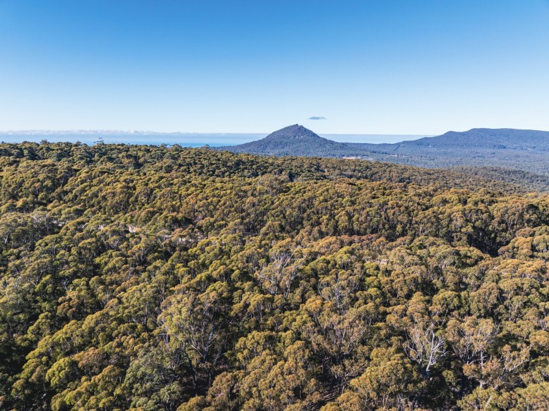 301 Gardiners Creek Road, St Marys TAS 7215