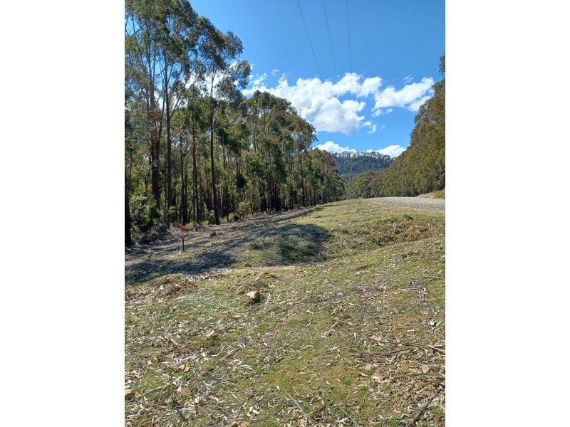 301 Gardiners Creek Road, St Marys TAS 7215