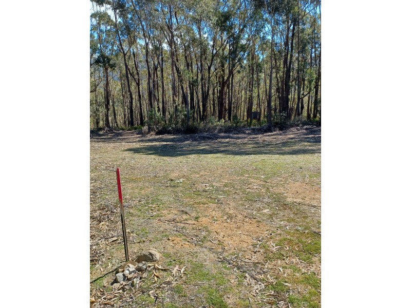 301 Gardiners Creek Road, St Marys TAS 7215