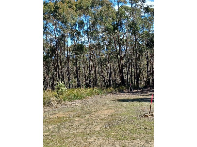 301 Gardiners Creek Road, St Marys TAS 7215