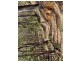 301 Gardiners Creek Road, St Marys TAS 7215