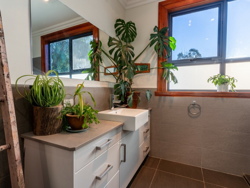 137 Binalong Bay Road, St Helens TAS 7216