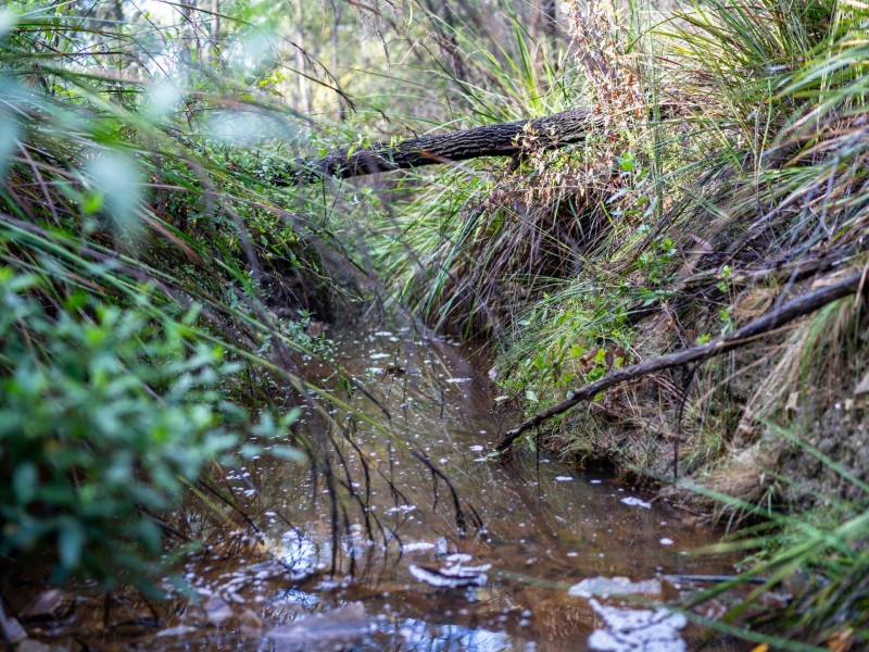 Lot 3 Eastern Creek Road, Beaumaris TAS 7215