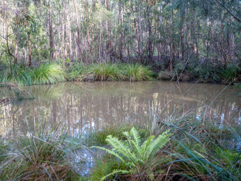 Lot 3 Eastern Creek Road, Beaumaris TAS 7215