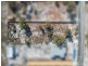 15b Osprey Drive, Stieglitz TAS 7216