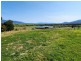 Lot 1/46 Gardiners Creek Road, St Marys TAS 7215