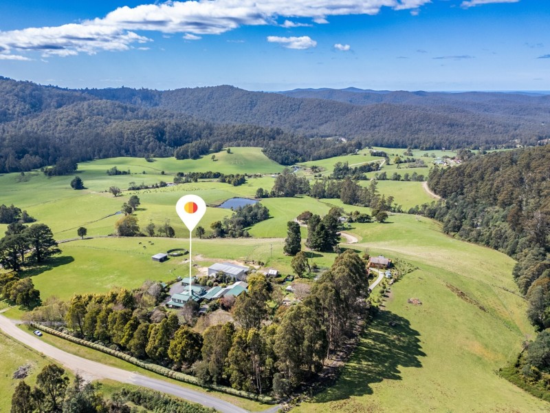 497 Lottah Road, Goulds Country TAS 7216