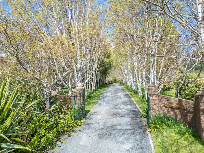 497 Lottah Road, Goulds Country TAS 7216