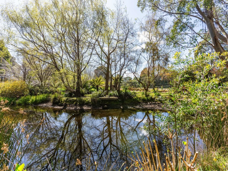 497 Lottah Road, Goulds Country TAS 7216