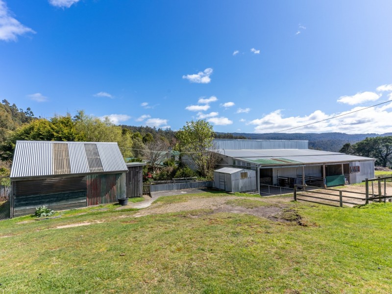 497 Lottah Road, Goulds Country TAS 7216