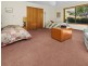 25598 Tasman Highway, St Helens TAS 7216