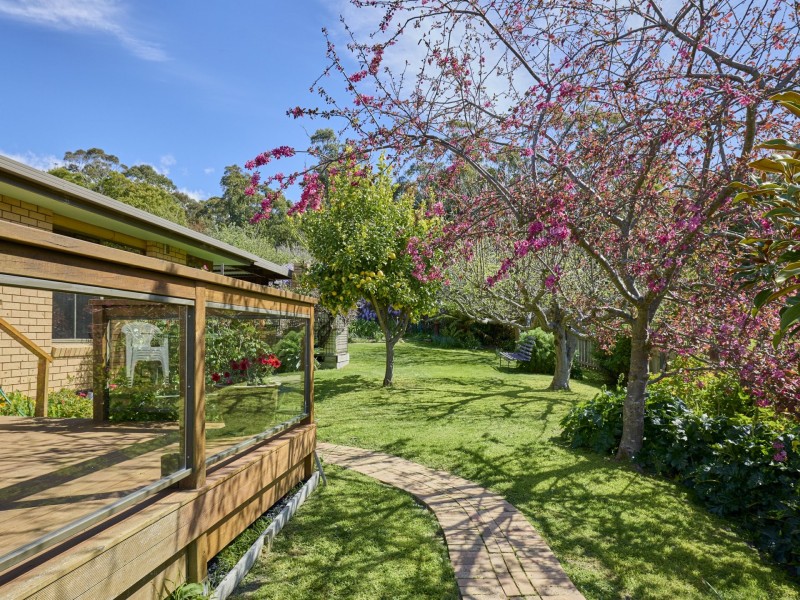 25598 Tasman Highway, St Helens TAS 7216