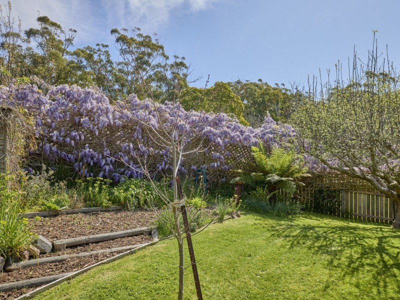 25598 Tasman Highway, St Helens TAS 7216