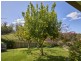 25598 Tasman Highway, St Helens TAS 7216
