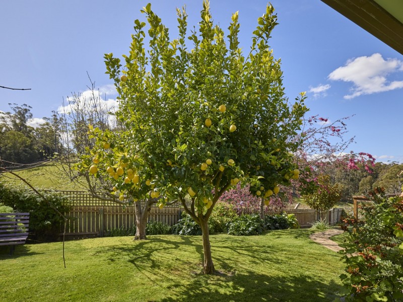 25598 Tasman Highway, St Helens TAS 7216