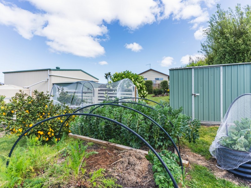 23 Pelican Court, Scamander TAS 7215