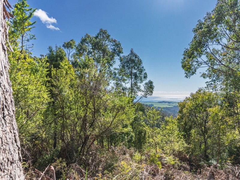 Lot 5 Lower German Town Road, St Marys TAS 7215