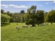 9 Champ Street, Seymour TAS 7215