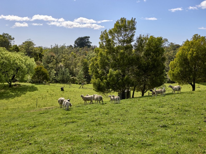 9 Champ Street, Seymour TAS 7215