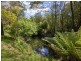 9 Champ Street, Seymour TAS 7215