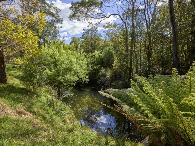 9 Champ Street, Seymour TAS 7215