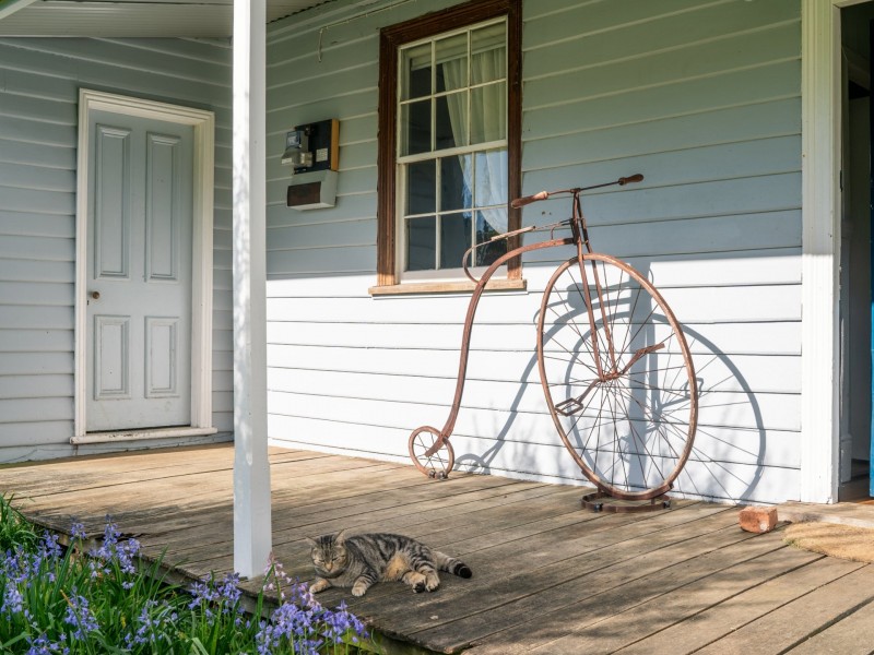 29766 Main Road, Weldborough TAS 7264