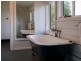 29766 Main Road, Weldborough TAS 7264