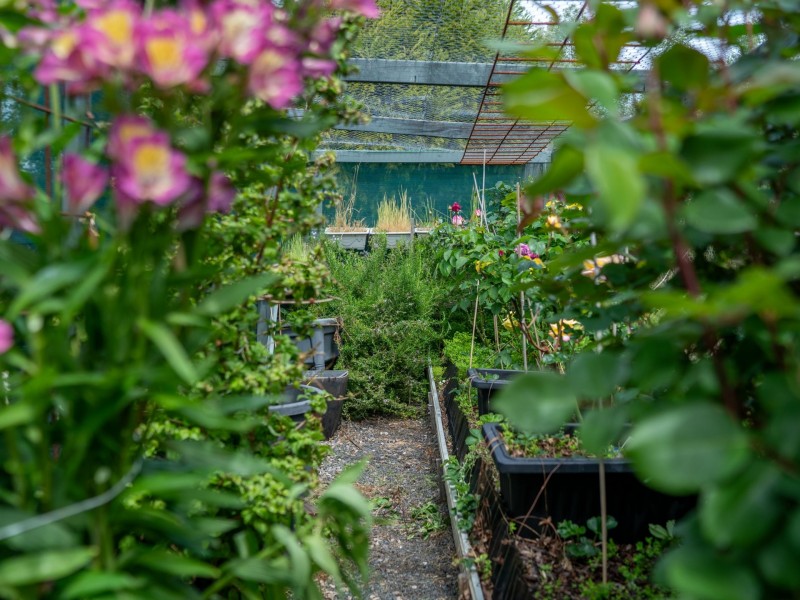 16 Bayvista Rise, St Helens TAS 7216