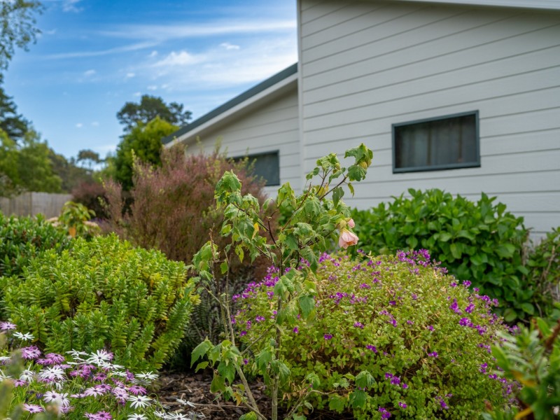 16 Bayvista Rise, St Helens TAS 7216