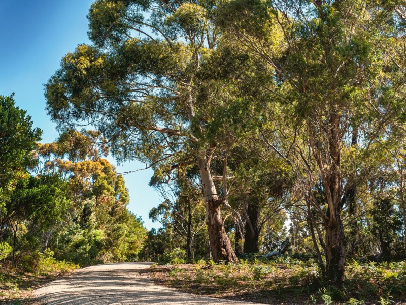 33 Upper Scamander Road, Scamander TAS 7215
