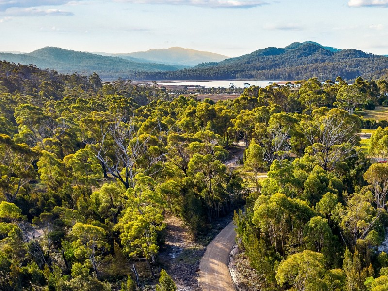 33 Upper Scamander Road, Scamander TAS 7215
