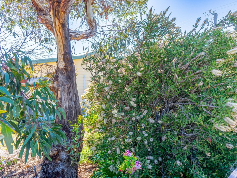 17 Parnella Drive, Stieglitz TAS 7216