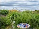 39 Honeymoon Point Road, The Gardens TAS 7216