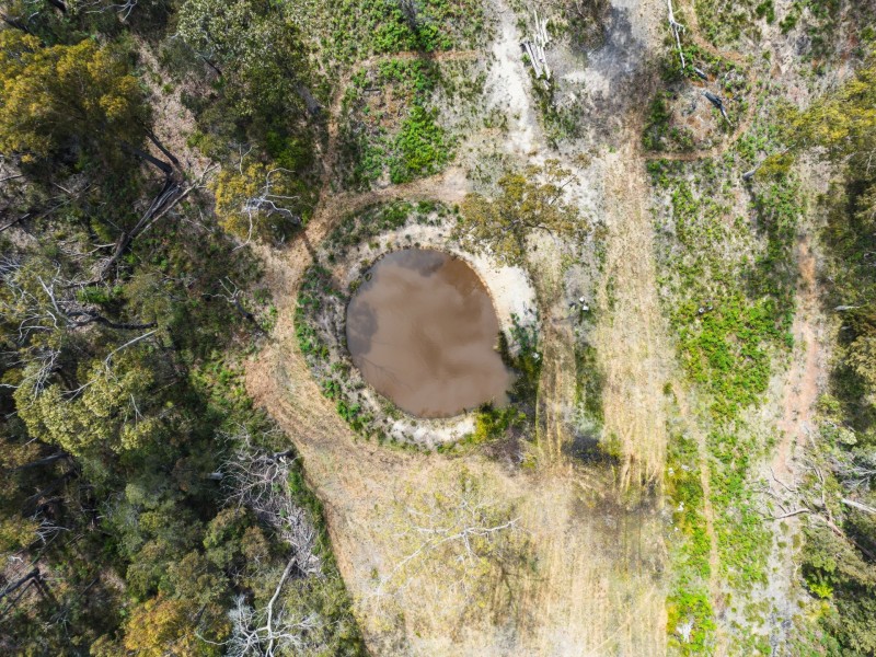 Lot 1 Ocean Drive, Beaumaris TAS 7215