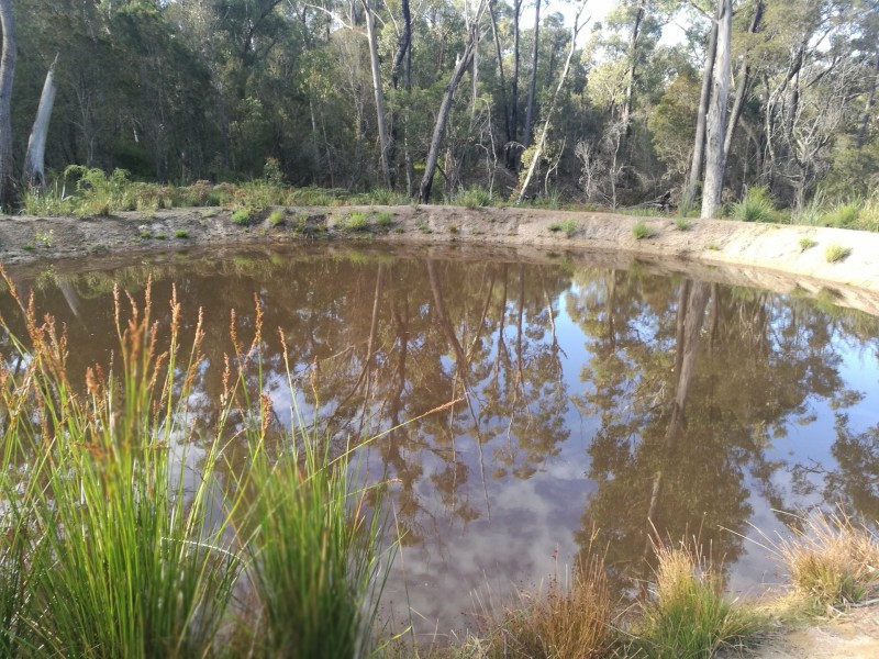 Lot 1 Ocean Drive, Beaumaris TAS 7215