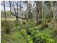Lot Lot 1/221 Irish Town Road, St Marys TAS 7215