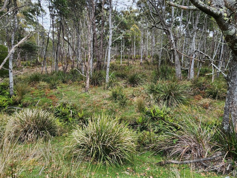 Lot Lot 1/221 Irish Town Road, St Marys TAS 7215