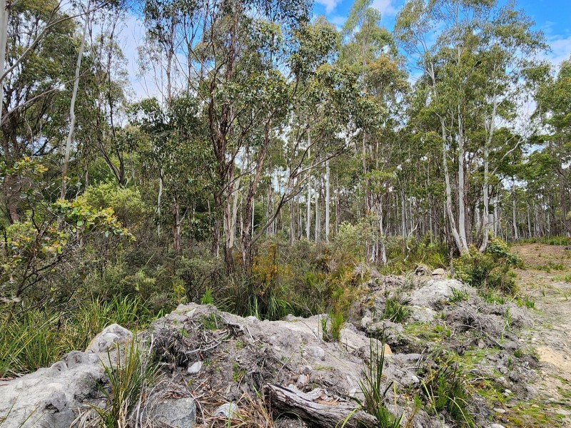 Lot Lot 1/221 Irish Town Road, St Marys TAS 7215