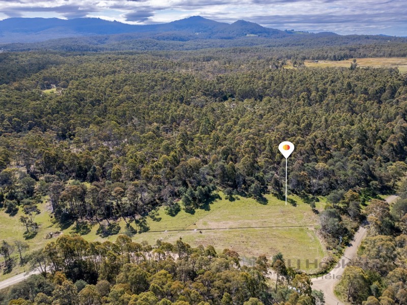 Lot Lot 1/221 Irish Town Road, St Marys TAS 7215