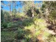 Lot Lot 1/221 Irish Town Road, St Marys TAS 7215