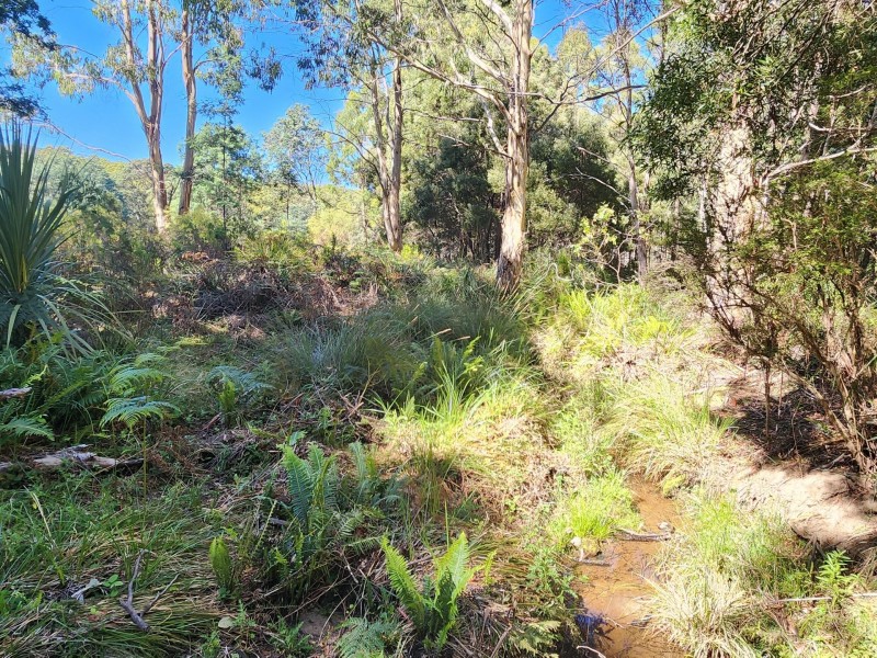 Lot Lot 1/221 Irish Town Road, St Marys TAS 7215