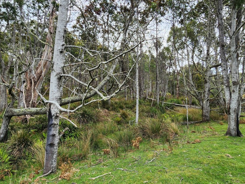 Lot Lot 1/221 Irish Town Road, St Marys TAS 7215