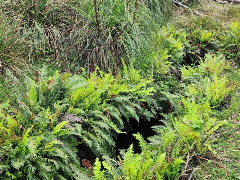 Lot Lot 1/221 Irish Town Road, St Marys TAS 7215